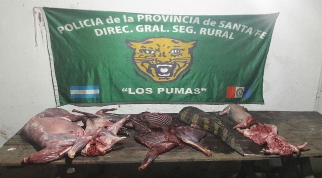 Le secuestraron siete animales autóctonos depredados a un cazador furtivo