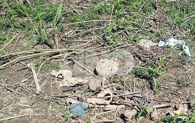 Pescadores encontraron restos humanos en cercanías de la ruta 168 Pescadores encontraron restos humanos en cercanías de la ruta 168