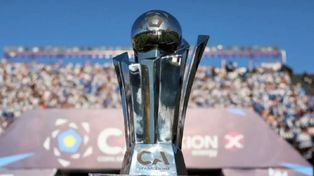 La Copa Argentina volvió a disputarse en 2011.