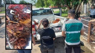 El hecho ocurrió durante una inspección en un local de compra y venta de metales ubicado en Matheu 3700, en la ciudad de Santa Fe.