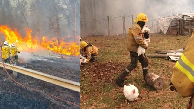 Se pudo controlar el incendio que mantuvo en vilo a Estancia Grande