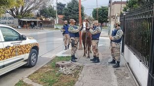 Estaba dentro de una casa