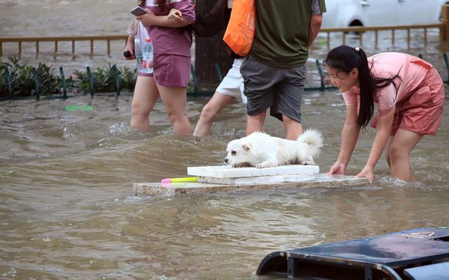 Impactantes imágenes de las inundaciones en China