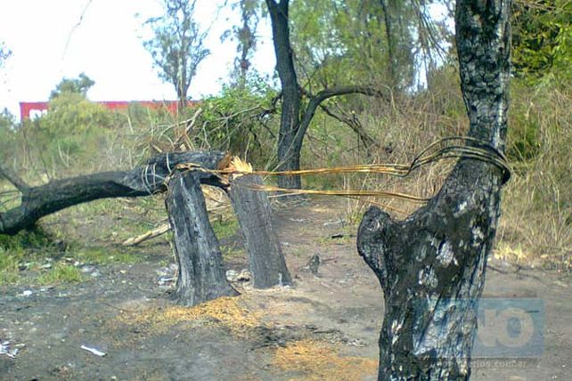 Roban e incendian cables para apoderarse del cobre y venderlo