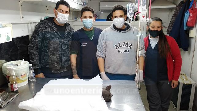 Castración: quirófano móvil castra unos 30 animales por día
