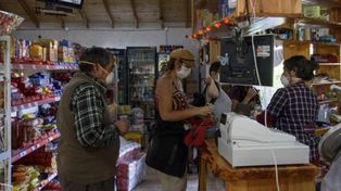 Apuntan que el hantavirus del sur no es el mismo que se registra en Santa Fe