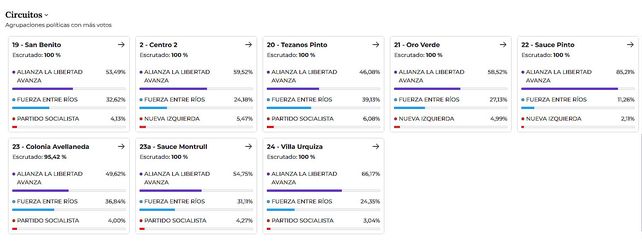 Elecciones 2025: Cómo se votó en cada sección y en cada mesa