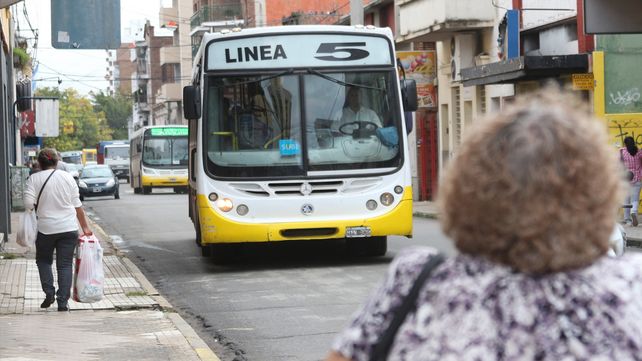 La ciudad renueva la flota de la línea 5 de colectivos