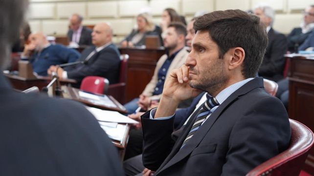 El diputado provincial y jefe del bloque UCR Evolución