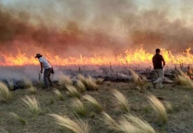 En La Pampa continúan los trabajos para extinguir el fuego.