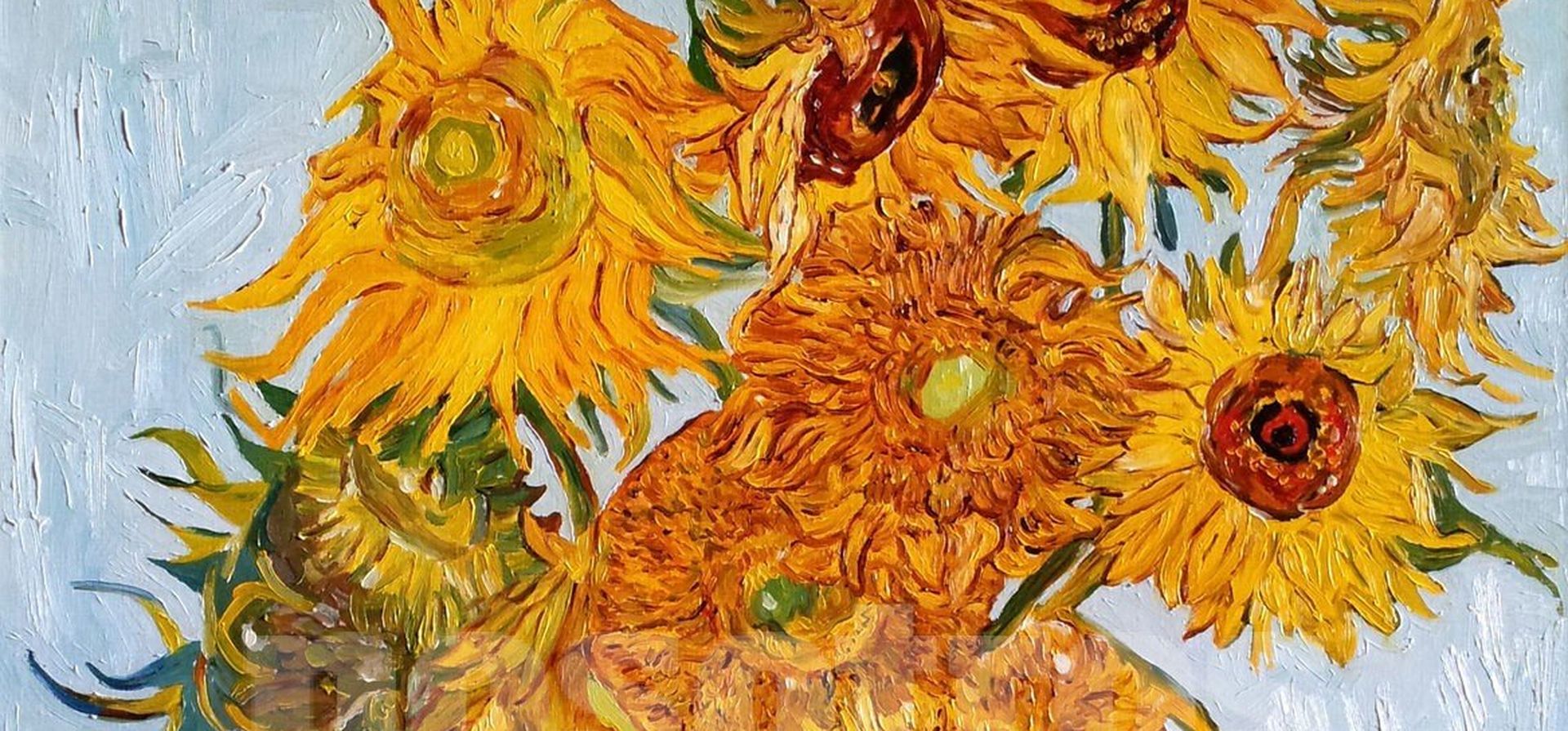 Girasoles