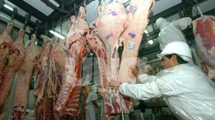 Para el Indec, la desocupación es del 9,3%