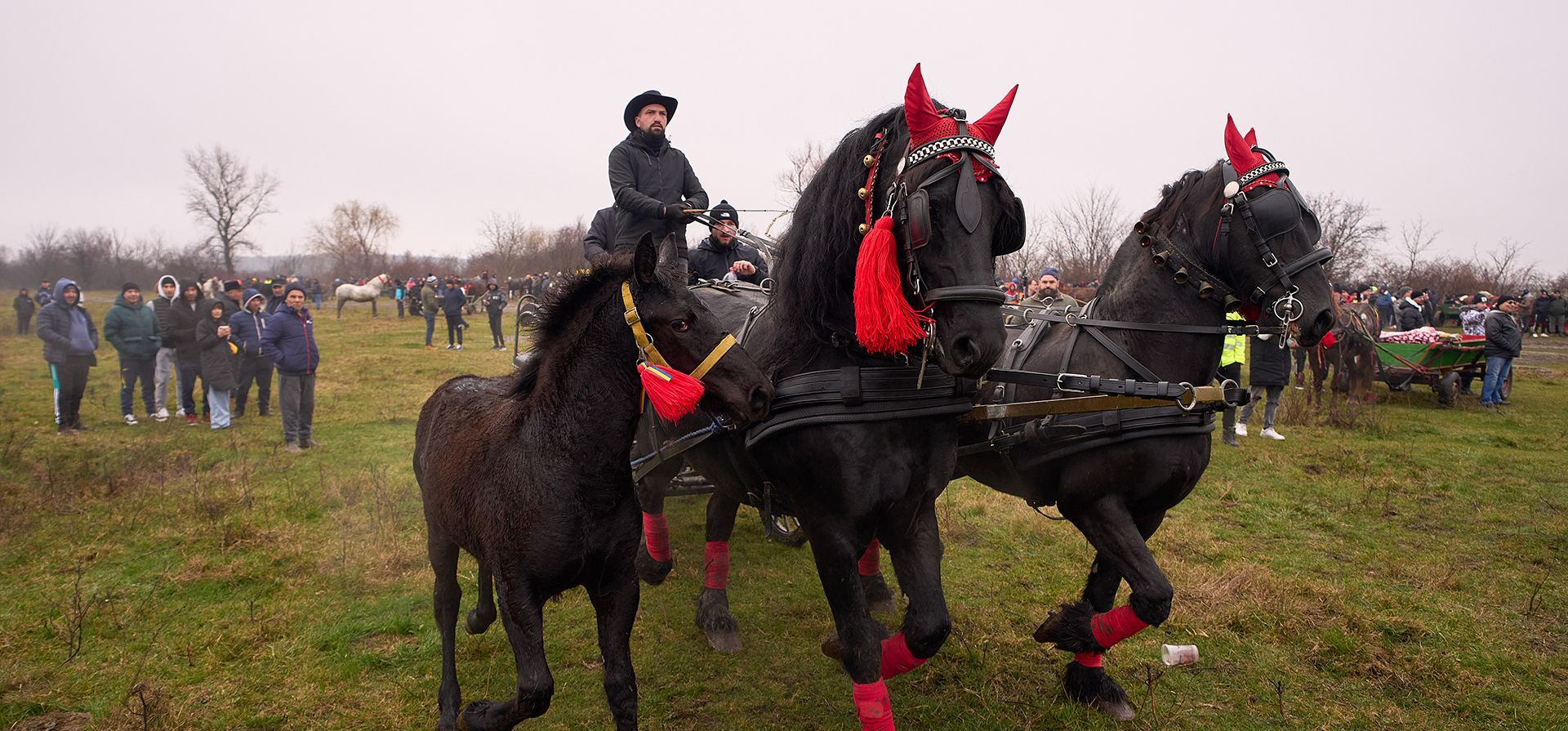Hombres viajan en una carreta tirada por caballos durante las celebraciones de la Epifanía en Pietrosani, Rumania, el martes 6 de enero de 2026. (Foto AP/Vadim Ghirda)
