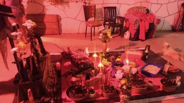 Rescatan 40 animales que iban a ser sacrificados en un supuesto ritual umbanda en Rosario