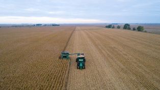 El agro sostiene la actividad económica pero el resto de los sectores está en rojo