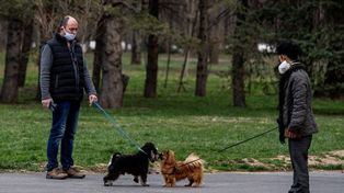 Probarán en pacientes una droga de origen veterinario