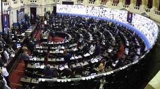 El Impuesto a las Grandes Fortunas será tratado el martes en sesión especial de Diputados.