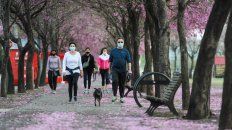 Salir a pasear al perro con tapabocas es una actividad de bajo riesgo, siempre y cuando no se interactúe con otros. Salir a pasear al perro con tapabocas es una actividad de bajo riesgo, siempre y cuando no se interactúe con otros.