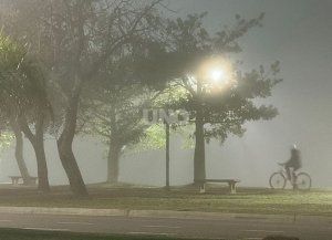 El tiempo en Santa Fe: niebla durante la mañana y leve descenso de la temperatura desde el miércoles