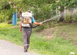 Dengue: piden reforzar recomendaciones para prevenir casos
