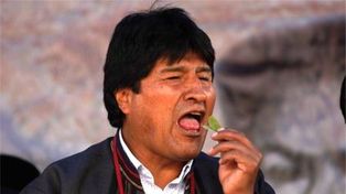 Evo Morales exhortó a los bolivianos a mascar coca para prevenir problemas dentales