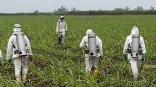 Primer juicio contra un herbicida de Monsanto en EEUU