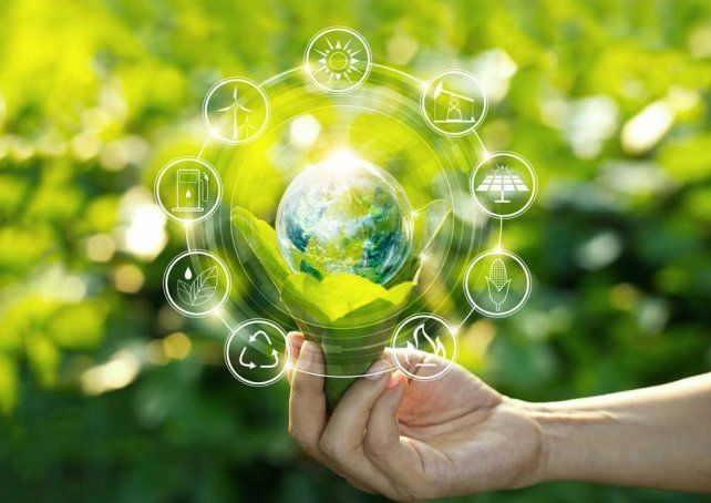 Financiamiento verde: qué oferta bancaria existe en Argentina