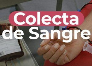 Se llevará adelante una colecta voluntaria de sangre en la Basílica