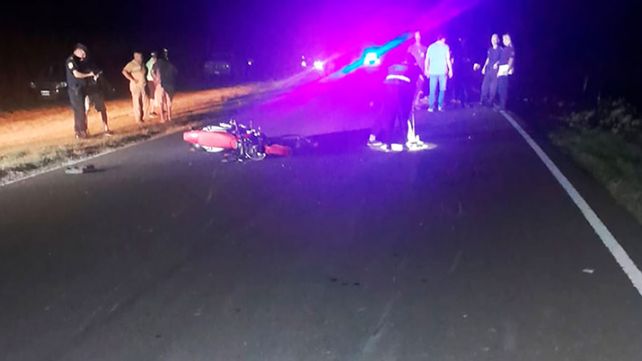 Ruta 11: murieron dos motociclistas tras chocar un equino