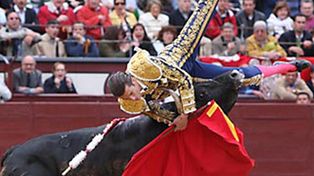 Impresionante: un toro corne&oacute; a su matador en plena corrida