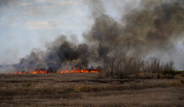 Incendios en las islas: agosto ya es récord en la cantidad de quemas en en el delta del Paraná