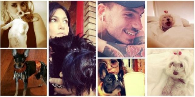 El insólito ranking de mascotas de los famosos