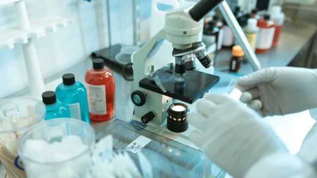 Unos 300.000 afiliados de OSER accederán a la red de casi 400 de bioquímicos y 247 laboratorios en diferentes localidades de la provincia