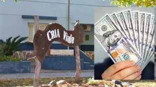 Un hombre de 90 años entregó ahorros en dólares y pesos a un sujeto que se hizo pasar por gerente de un banco. Se abrió una causa y alertan a la comunidad.