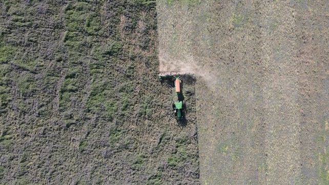 La familia que apuesta por un modelo agrícola con más colores