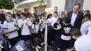 Plan de Arbolado 2015: se plantarán 10 mil ejemplares en toda la Ciudad