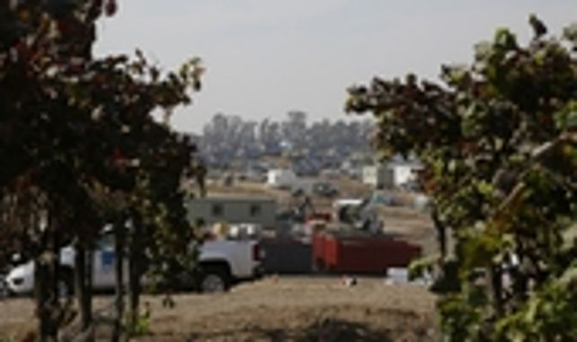 california. Numerosos habitantes regresaron ayer en Napa.