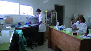 La Red de Laboratorios públicos resuelve por año 8 millones de muestras