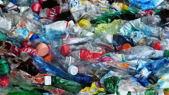 4&nbsp;Es lo que se paga por el kilo de botella plástica cristal