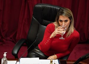 Carolina Losada rechazó eliminar las Paso, pero admitió que podría votar su suspensión en 2027
