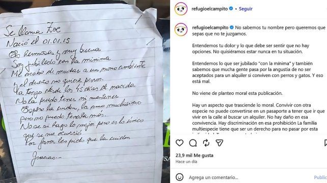 Soy jubilado con la mínima. Me acabo de mudar a monoambiente. El dueño no quiere perros. La tengo desde los 45 días. No la puedo tener ni mantener