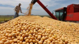 Las exportaciones de Santa Fe aumentaron un 41