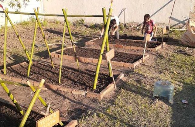 Sauce Viejo: hacia la soberanía alimentaria