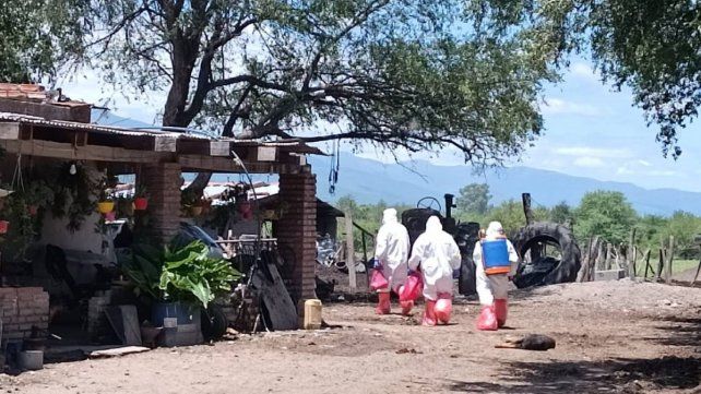 La gripe aviar es una enfermedad viral que afecta a aves de corral como a las silvestres. En el marco de la confirmación de casos en Argentina