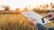 Las plataformas digitales se hacen fuerte en el agro