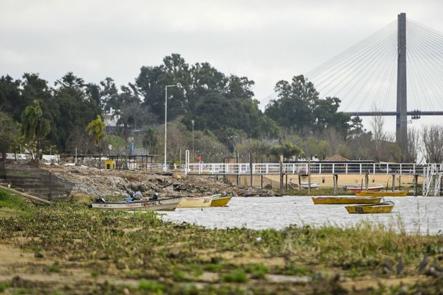 La presencia abundante de camalotes ya se encuentra en la costa rosarina.