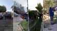 Fuerte temporal en Santa Fe: las ráfagas de viento llegaron hasta los 60 km/h y se registraron 40 árboles caídos