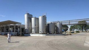 Quebró la empresa que fabricaba yogures, flanes y postres para SanCor