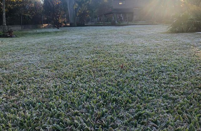En la costa. La helada castigó el cesped de una casa en Rincón.&nbsp;
