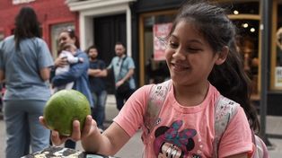 Campaña para promover el consumo de frutas y verduras